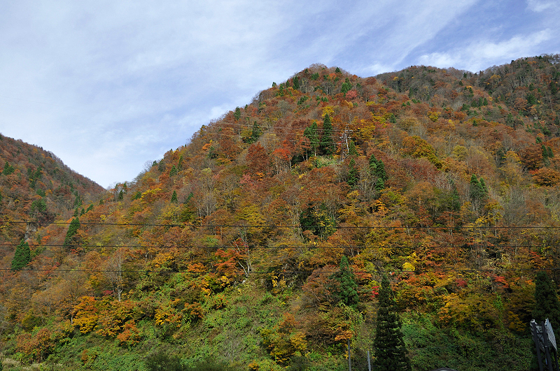 image0277