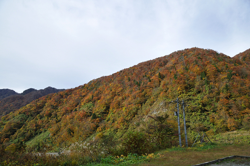 image0278