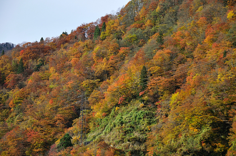 image0279