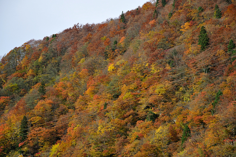 image0280