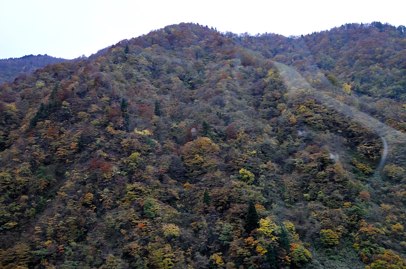 image0298