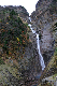 image0137