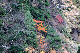 image0154