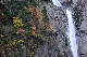 image0160