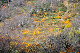 image0177