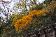 image0180