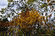 image0186