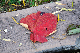 image0188