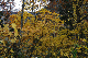 image0189