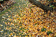 image0190