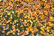 image0191