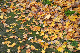 image0192