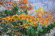 image0193