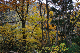 image0194