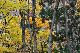 image0195