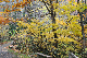 image0196