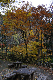 image0197