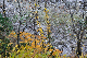 image0198