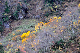 image0199