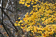 image0201