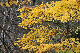 image0202