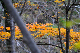 image0203