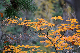 image0204