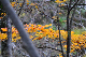 image0206