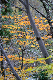 image0207