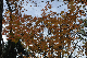 image0209