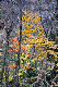 image0210