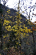 image0211