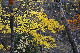 image0212