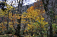 image0214