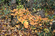 image0215