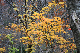 image0216