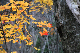 image0217