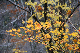 image0218