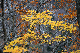 image0219