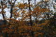 image0220