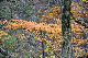 image0223