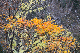 image0224