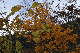 image0225