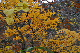 image0226