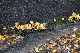 image0227