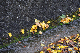 image0228