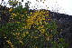 image0230