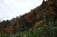 image0231