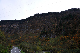 image0233