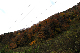 image0236